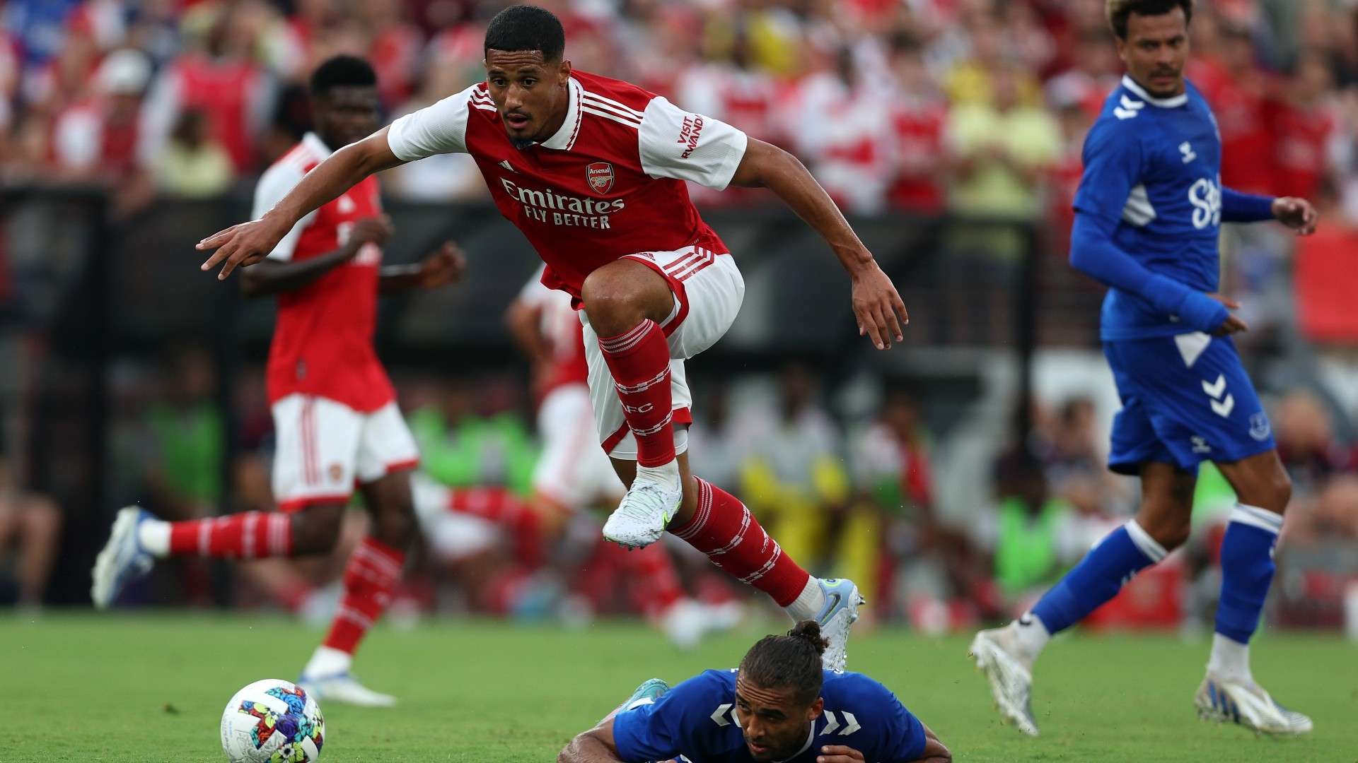 情引关注 情引关注